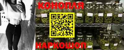 кокс Донской