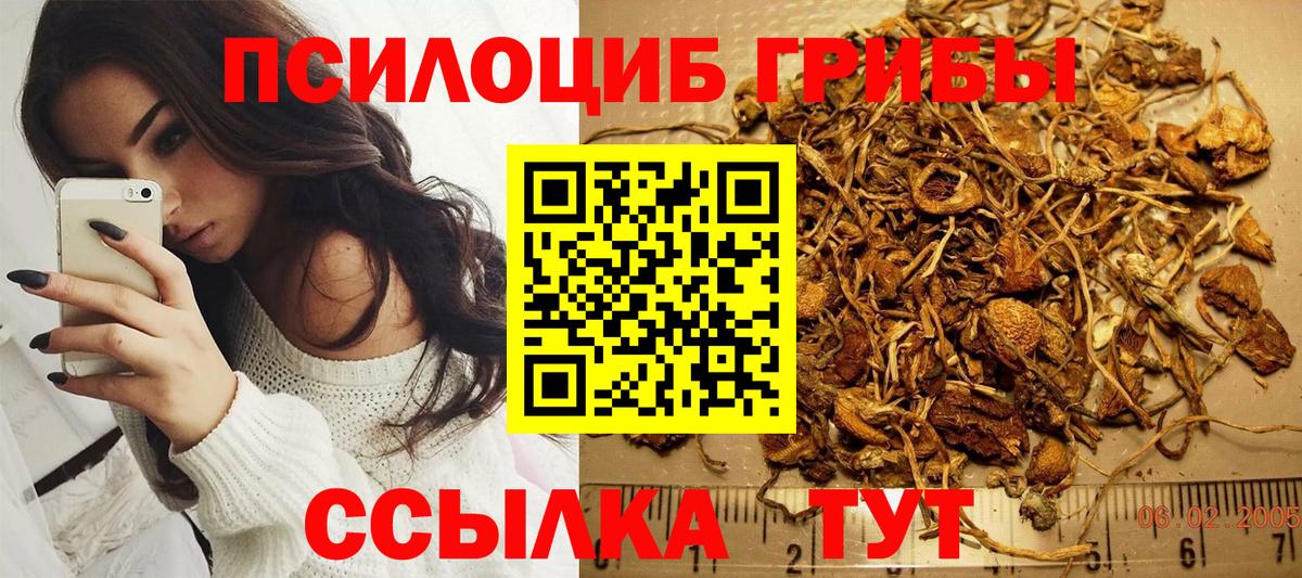 Ликино-Дулёво  Галлюциногенные грибы мухоморы  Вход с VPN 